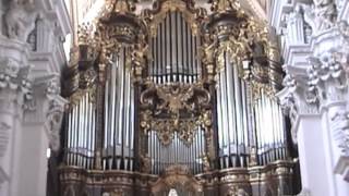 The Largest Cathedral Organ [upl. by Fleck]