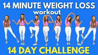 Weight Loss Workout  14Minute Workout at Home  Do this for 14 days  All Standing Moves [upl. by Lissy]