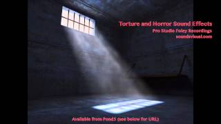 Torture and Horror Sound Effects [upl. by Imoen]