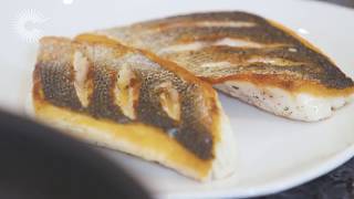 How to PanFry Seabass [upl. by Johannes616]