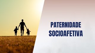 Paternidade socioafetiva [upl. by Lleumas]