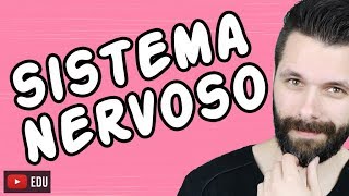 SISTEMA NERVOSO  FISIOLOGIA  Aula  Biologia com Samuel Cunha [upl. by Ettenan]