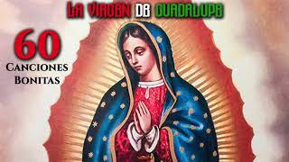 La Virgen De Guadalupe  60 Canciones Bonitas  Playlist Oficial [upl. by Aronel]