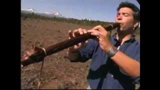 Play the Trees An Introduction to the Native American Style Flute by Ward Jene Stroud [upl. by Tyika758]