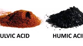 7 Fulvic Acid Benefits and Uses [upl. by Ida]