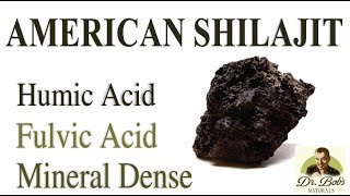 American Shilajit Understanding Humic and Fulvic Acids [upl. by Sirehc]