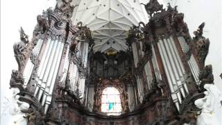 Koncert organowy w Katedrze Oliwskiej Organ concert in the Oliwa Cathedral [upl. by Nibot156]