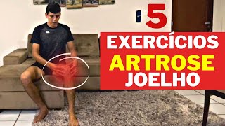 EXERCÍCIOS PARA ARTROSE DE JOELHO [upl. by Ary981]