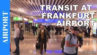 TRANSIT WALK AT FRANKFURT Airport FRA Terminal 1  Connection Flight Transfer Arriving amp Departing [upl. by Orban444]